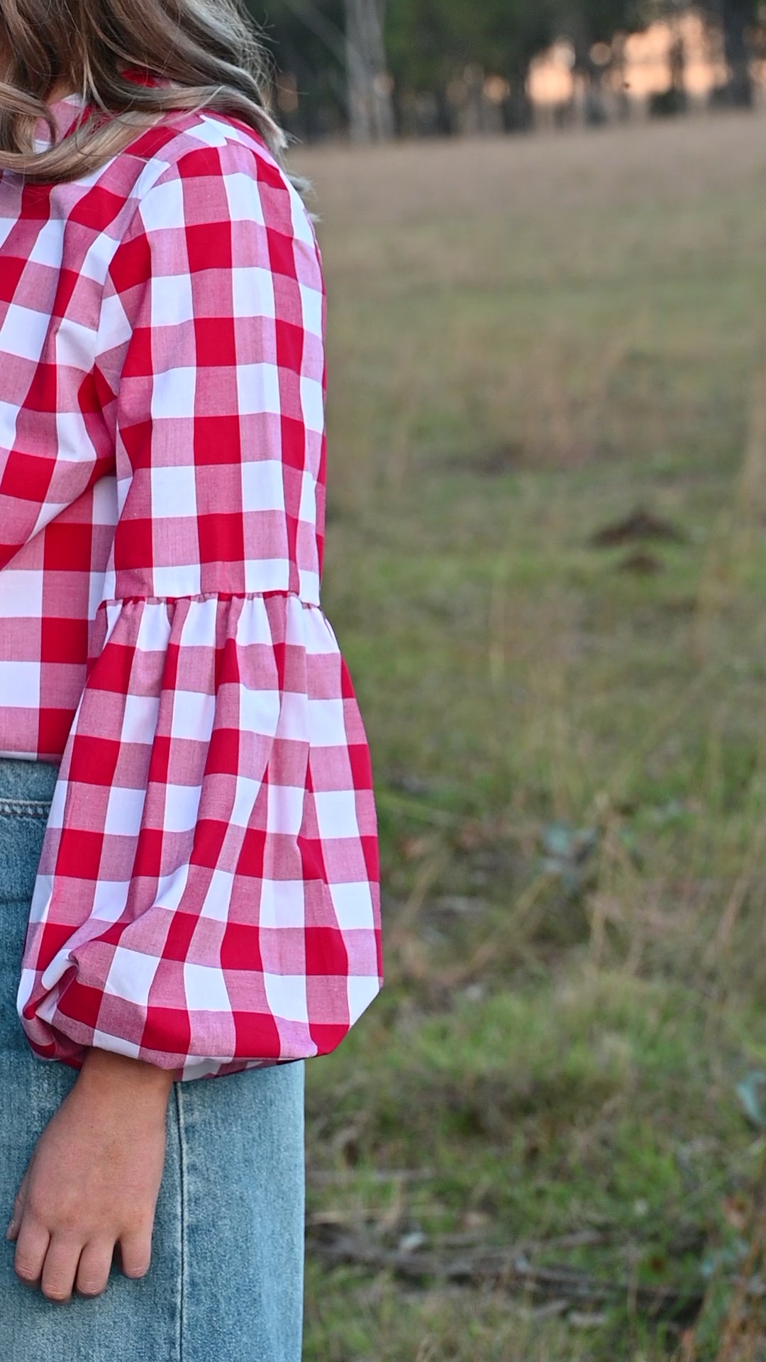 Georgie Blouse ~ Red Gingham